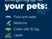 Infographic Hurricane Preparation Tips for your Pets