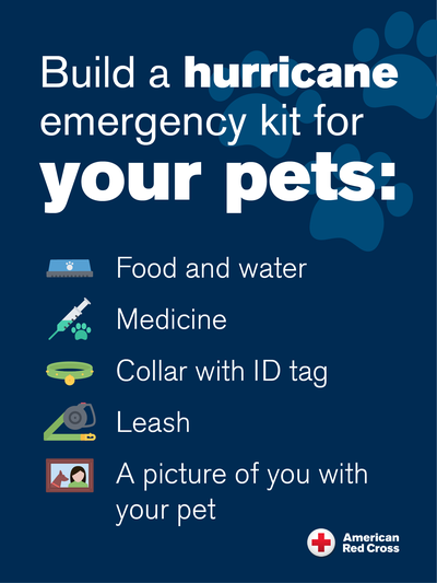 Infographic Hurricane Preparation Tips for your Pets