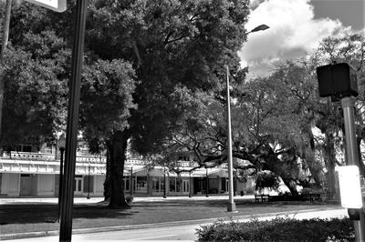 Downtown on Main st of Avon Park