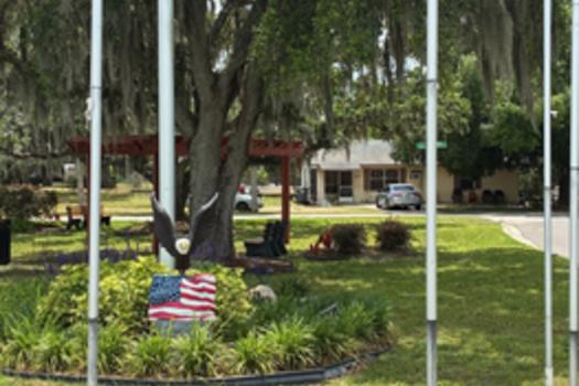 Veteran's Park and Eagle
