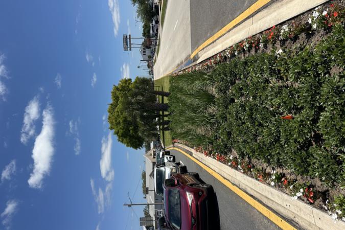Image of mall street landscaping on the west side of main street