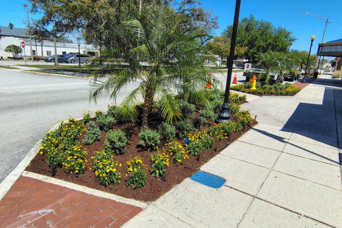 Plants put in the sections on the south side of Main Street making out charming city more captivating and beautiful.